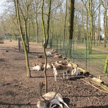 Diverse onderhoudswerkzaamheden in Baarn