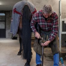Koningshoeve bewerkt 7 Koningshoeve bewerkt 7